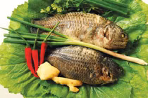 Giảm nguy cơ bị mù ở người bệnh tiểu đường chỉ cần ăn cá béo mỗi tuần