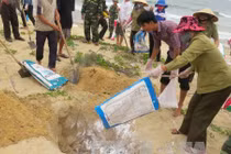 Hôm nay công bố hiện trạng môi trường biển miền Trung