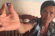 Xôn xao ngọc tiền tỷ từ bụng ếch:Nếu có cũng... bình thường 