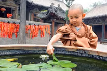 Đứa trẻ có lá số tử vi như thế nào thì phải bán khoán lên chùa? 