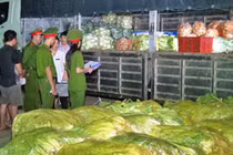 Rau cải Trung Quốc nhiễm độc thuốc sâu gấp 8 lần