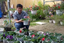 Thuê đất trồng hoa “mini”, kiếm 10 triệu đồng/tháng