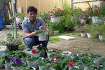 Thuê đất trồng hoa “mini”, kiếm 10 triệu đồng/tháng