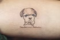 Giới trẻ Hàn Quốc đua nhau xăm hình thú cưng lên cơ thể