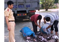 Ăn phải mực khô bị mốc xanh, mốc đen nguy hiểm cỡ nào?