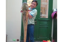 Xẻ thịt cá lăng sông Đà 1,5 mét: Đại gia làm bữa nhậu