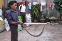 Gặp gỡ người đàn ông dị tật là khắc tinh của rắn độc