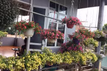 Ngôi nhà phố núi rực sắc hoa đẹp mê ly