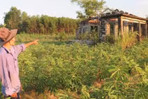 Kinh hoàng sát hại vợ tàn nhẫn chỉ vì tội vô sinh