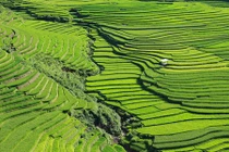 Những bức ảnh thúc giục bạn phượt Mù Cang Chải ngay lập tức