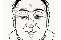 Những đặc điểm tốt của tướng mặt đem lại điều tốt lành