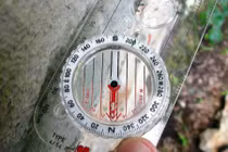 12 con giáp và phương vị may mắn trong nhà