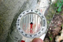 12 con giáp và phương vị may mắn trong nhà