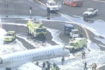 Hy hữu: Máy bay đâm phải hươu phải hạ cánh khẩn cấp