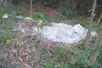 Tin mới về mộ bất thường trong rừng tràm: Phát hiện nhiều xương cốt