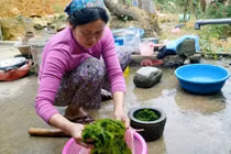 Kỳ bí ngôi làng trường thọ vì ăn rêu đá