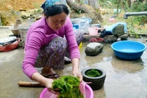 Kỳ bí ngôi làng trường thọ vì ăn rêu đá