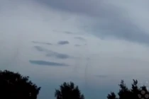 Hàng triệu con muỗi kết thành lốc xoáy trên bầu trời