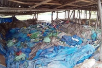 Cận cảnh ngâm, phơi chanh, quất bẩn làm mứt tết