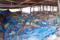 Cận cảnh ngâm, phơi chanh, quất bẩn làm mứt tết