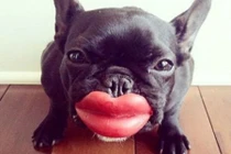 Chết ngất khi thấy những hình ảnh kỳ dị chưa từng gặp trong đời