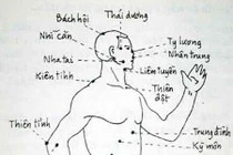 Huyệt đạo bí truyền đánh thức khí lực của cơ thể