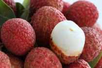 Những người này tự hại bản thân mình vì ăn vải