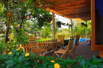 Mê mẩn nhà vườn đẹp tựa thiên đường của nữ ca sĩ Việt