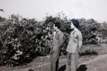 “Kịch bản” tàn độc của những kẻ sát nhân máu lạnh