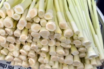 Giòn ngon dưa bồn bồn đặc sản Đất Mũi