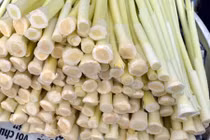 Giòn ngon dưa bồn bồn đặc sản Đất Mũi