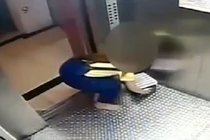 Thiếu nữ 15 tuổi bỏ con vào hộp rồi ném vào thùng rác gây phẫn nộ