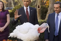 Cười vỡ bụng biểu cảm của các TT Mỹ trước... gà tây