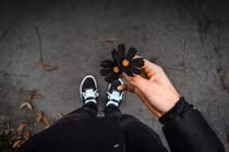 Vận hạn cuối năm 2016, con giáp nào đen đủi nhất?