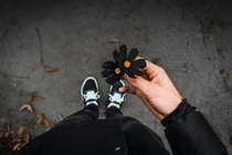 Vận hạn cuối năm 2016, con giáp nào đen đủi nhất?