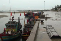 Hải sản được đánh bắt xa bờ, người mua vẫn không tin 