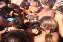 Phẫn nộ chú cá heo chết vì bị du khách bắt lên chụp ảnh