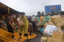 Ảnh: 30 tấn dừa đổ ra đường sau tai nạn không mất một trái