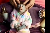 Xem chú khỉ biết tận hưởng “nhất quả đất“