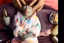 Xem chú khỉ biết tận hưởng “nhất quả đất“