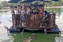 “Lè lưỡi” cảnh cho cá sấu ăn trên bè gỗ thô sơ