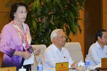 Lùi thời điểm sửa đổi Luật phòng, chống tham nhũng