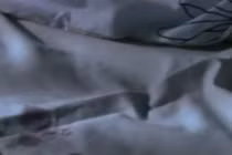 Gã yêu râu xanh vô hình chuyên hiếp dâm trong mơ