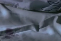 Gã yêu râu xanh vô hình chuyên hiếp dâm trong mơ