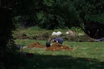 Nghĩa trang chó dừng hoạt động, trăm người ra đào xác