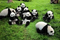 Đã tìm ra công việc có thể khiến bạn hạnh phúc mỗi ngày 