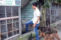 Huyền thoại về loài “khuyển vương” Phú Quốc