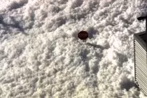 Thảm họa bọt xà phòng suýt nhấn chìm sân bay California