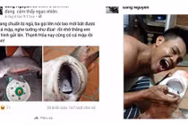 Hoang mang với thông tin cá mập trên sông Vàm Cỏ