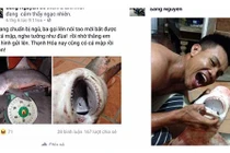 Hoang mang với thông tin cá mập trên sông Vàm Cỏ